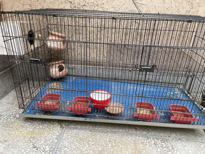 Cage for parrots — photo 4
