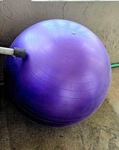 75cm Anti Burst Imported Gym Ball with Pump - Purple