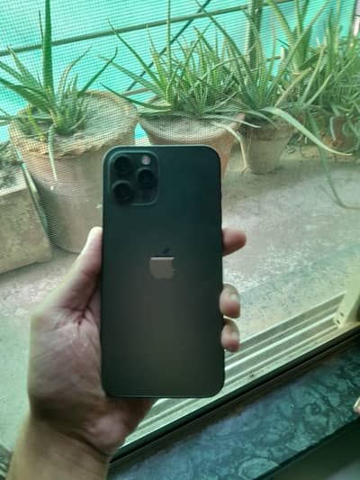 iPhone 12 Pro Max