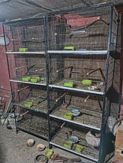 Cages for parrots
