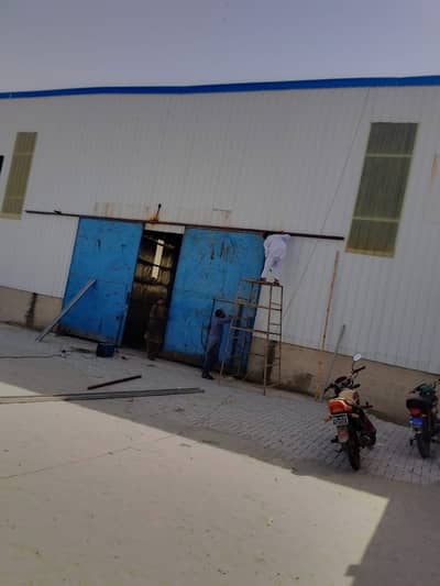 dairy farm sheds/ warehouse sheds /Industrial Sheds steel structure/