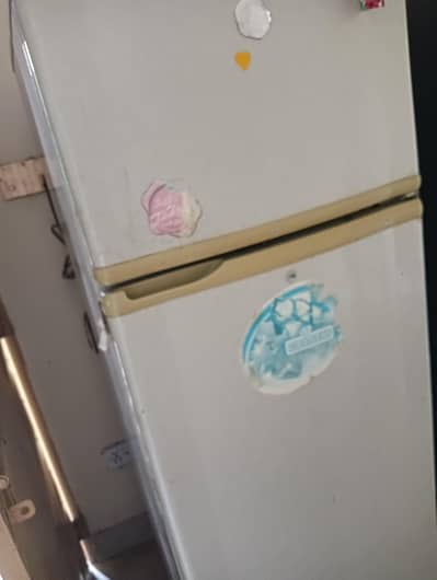 pel fridge