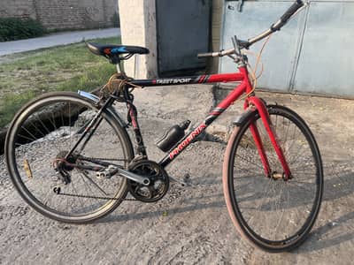 Phoenix Mountain Bike