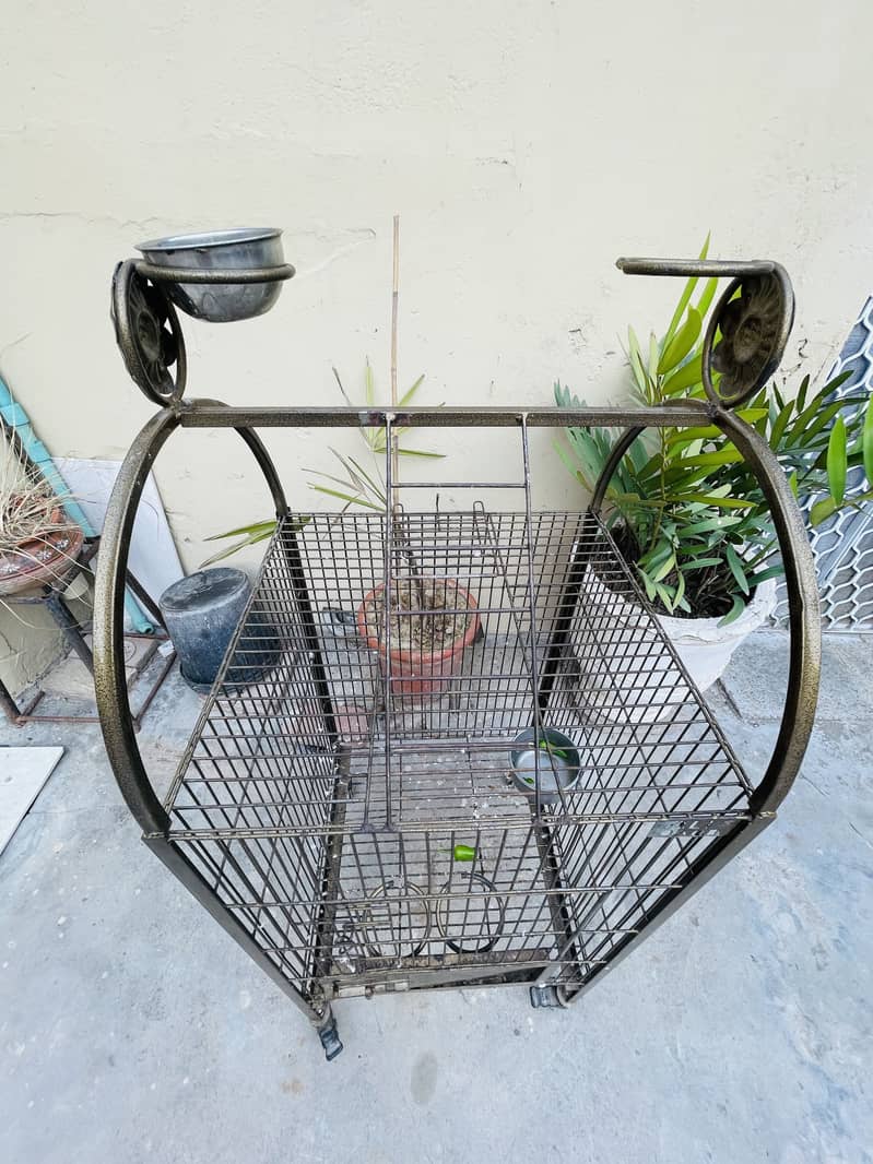 Fancy cage 1