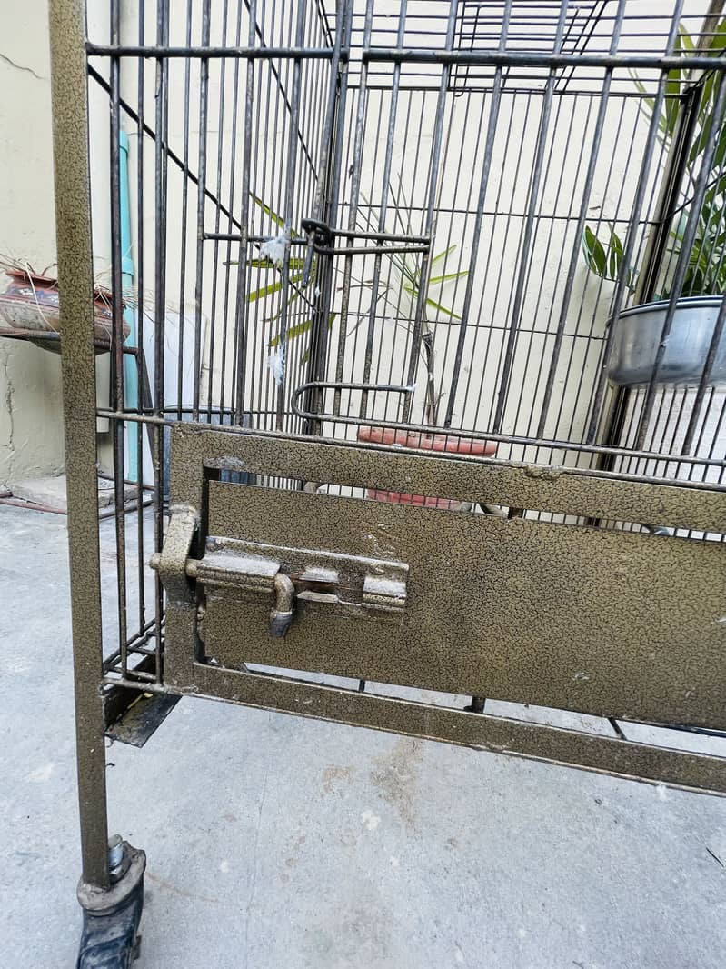Fancy cage 2