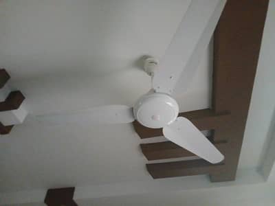 orient fan 56