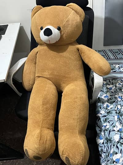 Teddy bear / stuffed animal