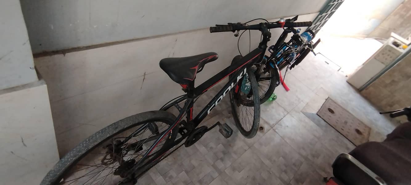 codalki 1