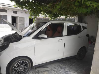 Honri VE 2025