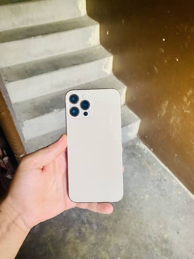 Apple iPhone 12 Pro Max