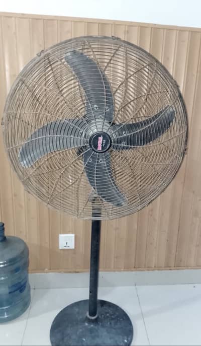 Fan for sale
