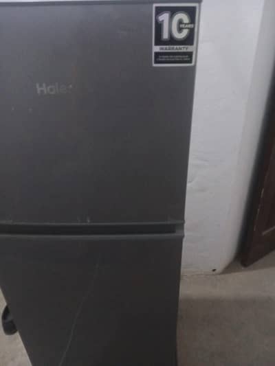 New Fridge