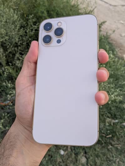 Apple iPhone 12 pro max