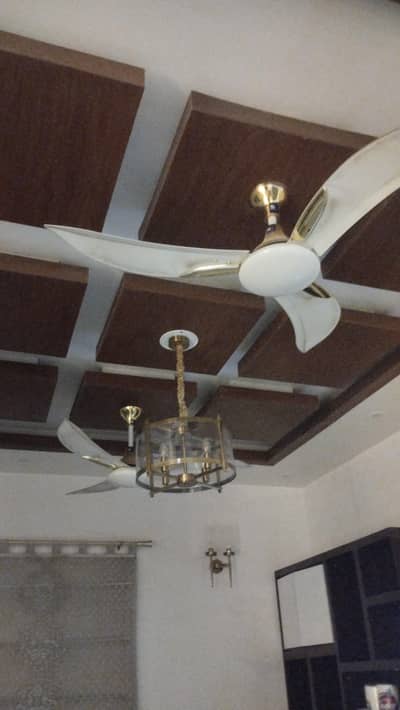 Ceiling fans of multiple types. . . all running in good condition