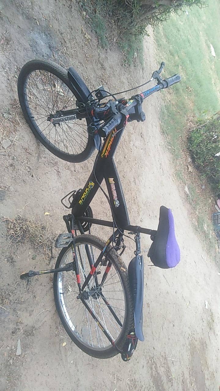 cycle r 10
