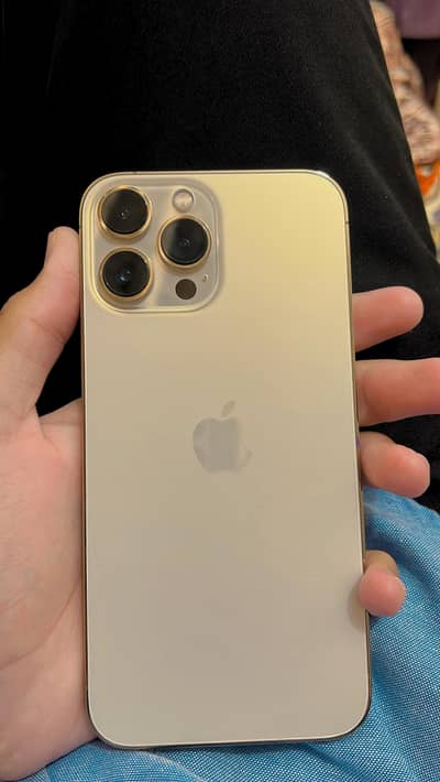 Apple iPhone 13 Pro Max