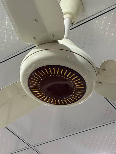 FAN FOR SALE 10/10 CONDITION