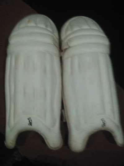 Cricket pads brand name kookaburra model 2025