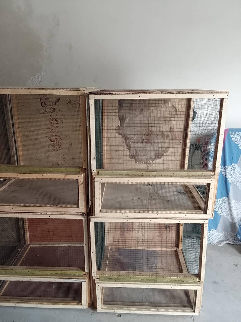 cages 1