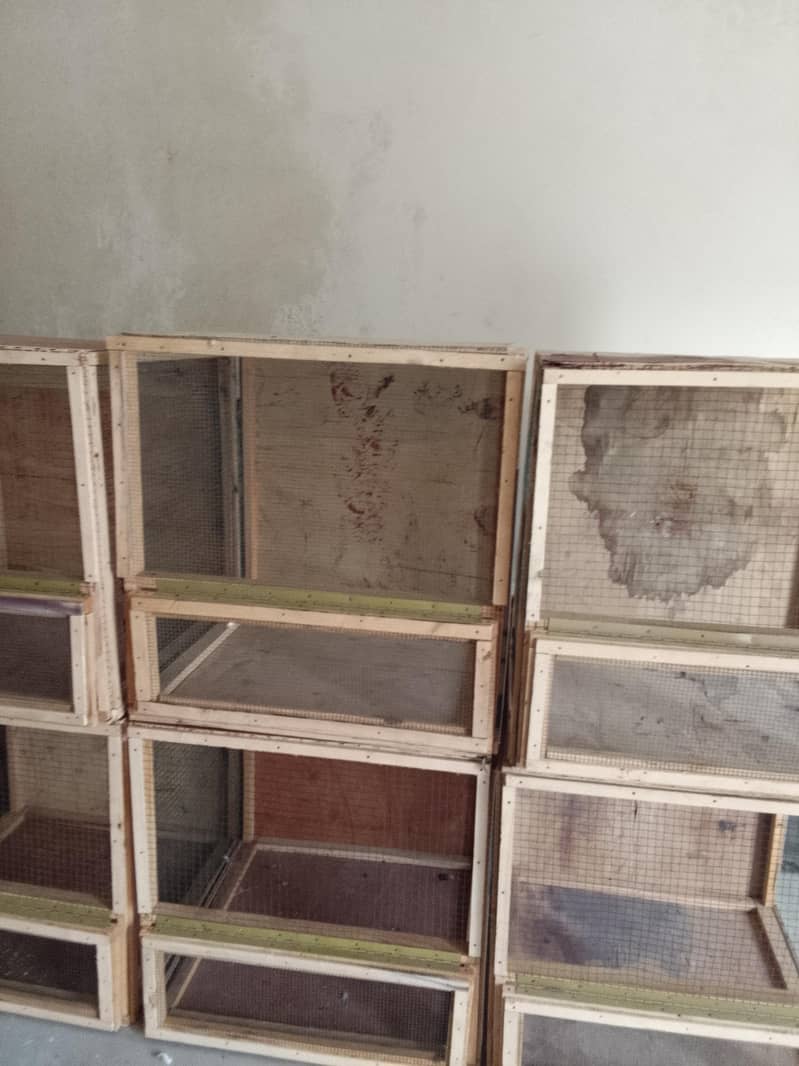 cages 2