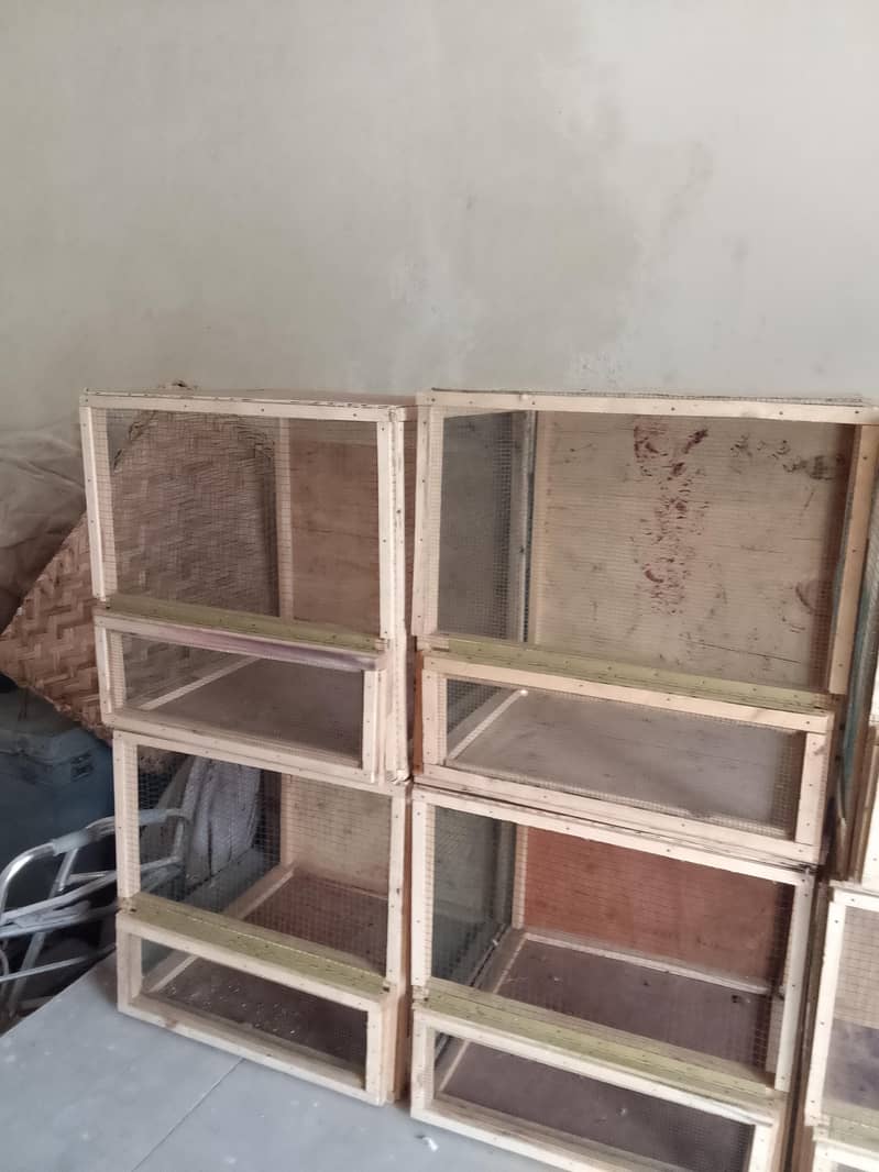 cages 3