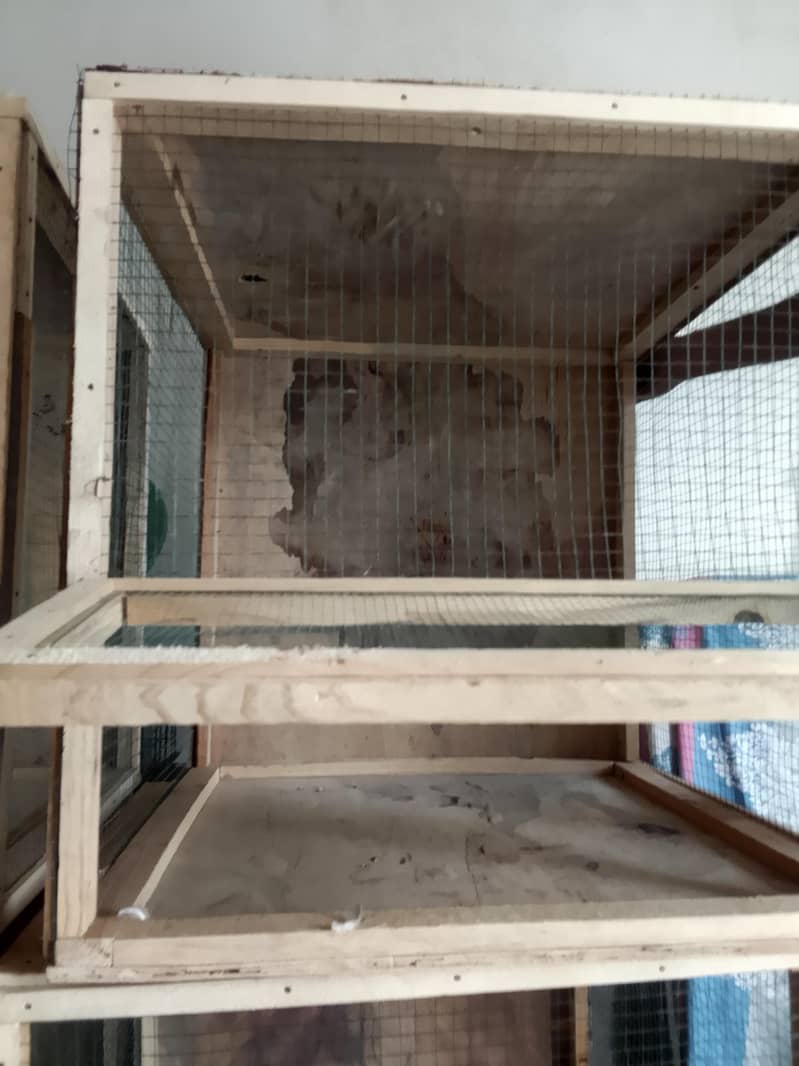 cages 4