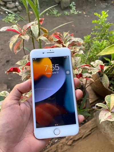 Iphone 7plus PTA approved 128gb My Whatsapp number 0341-15-94-140