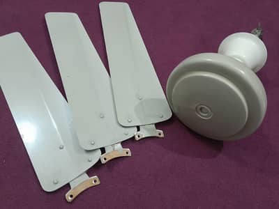 Ceiling Fan In 10/10 Condition