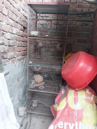 birds 4 portion cage