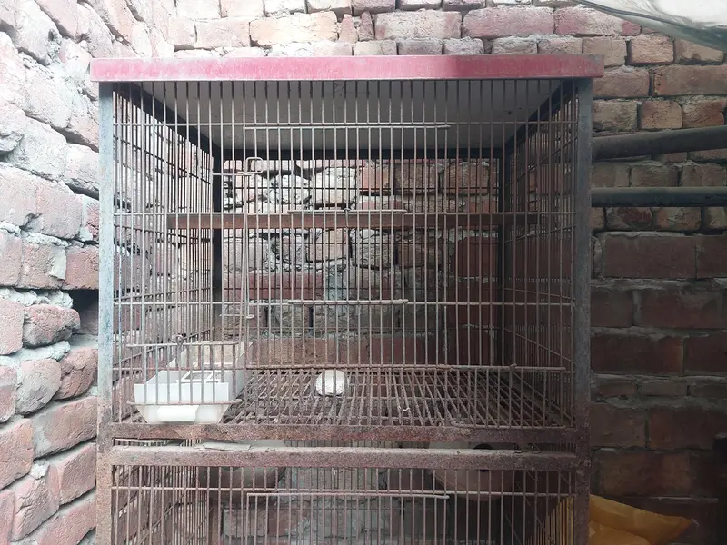 birds 4 portion cage — photo 2