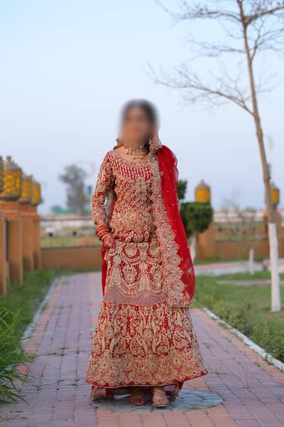 Designer Red & Gold Bridal Lehnga (Worn Once)  Islamabad & Rawalpindi