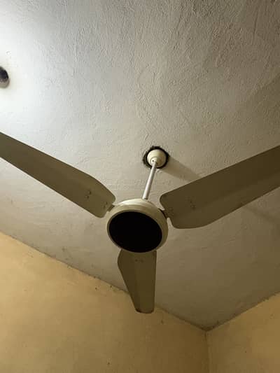 30 volt fan for sale, totel 12 pankhe hay.