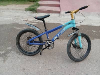 DLXONG MOUNTAIN BIKE 20 INCH