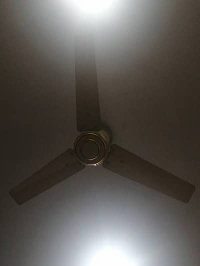ceiling fan