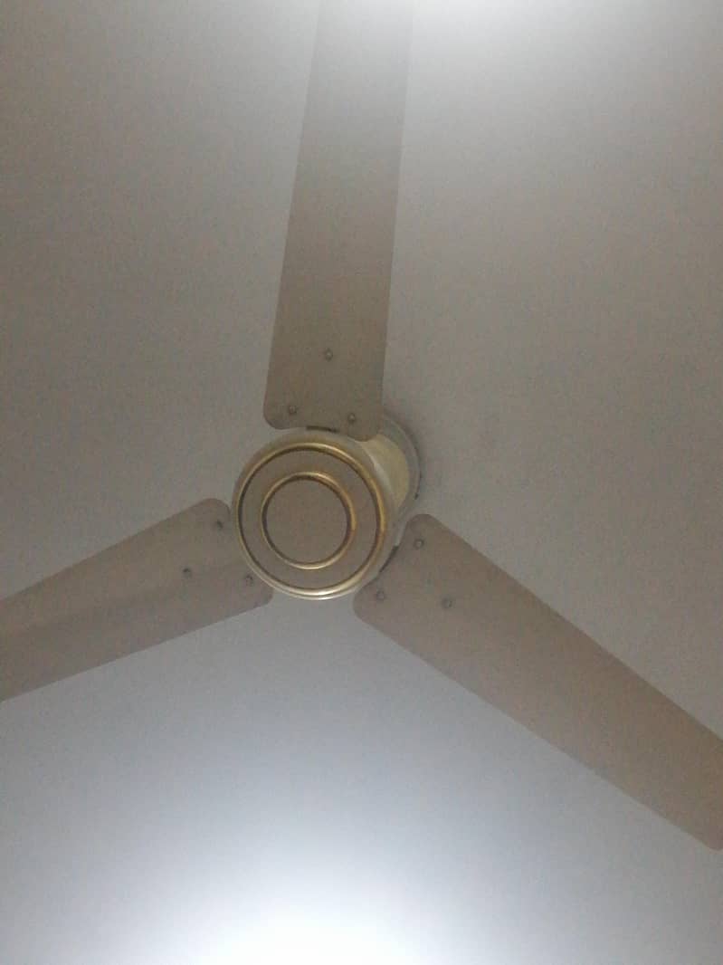ceiling fan 1
