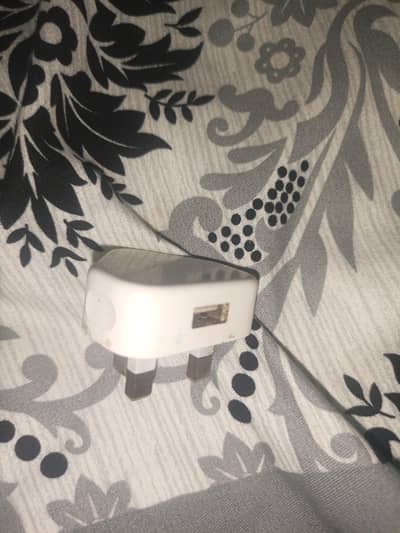 iphone adapter CtoC type cable