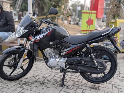 YAMAHA || YBR 125 || Model 2024