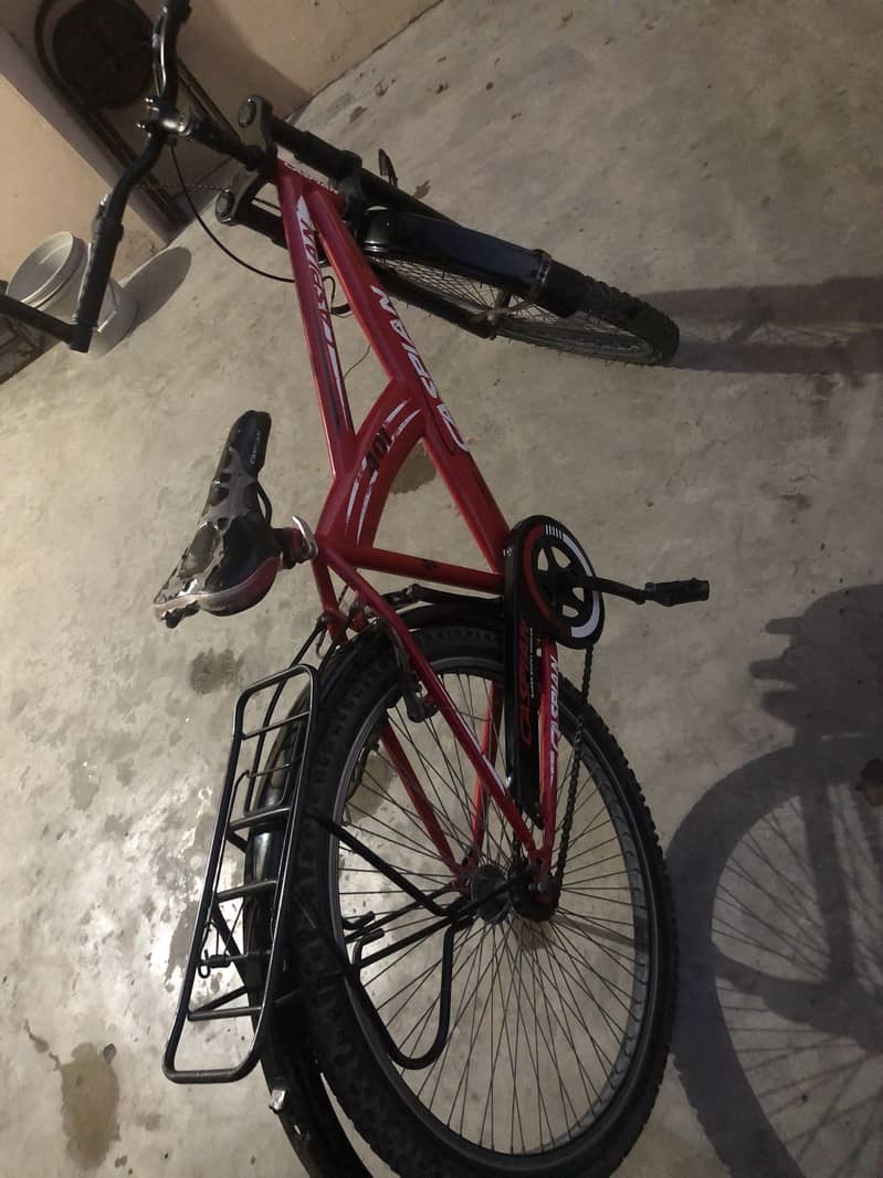 Cycle 1