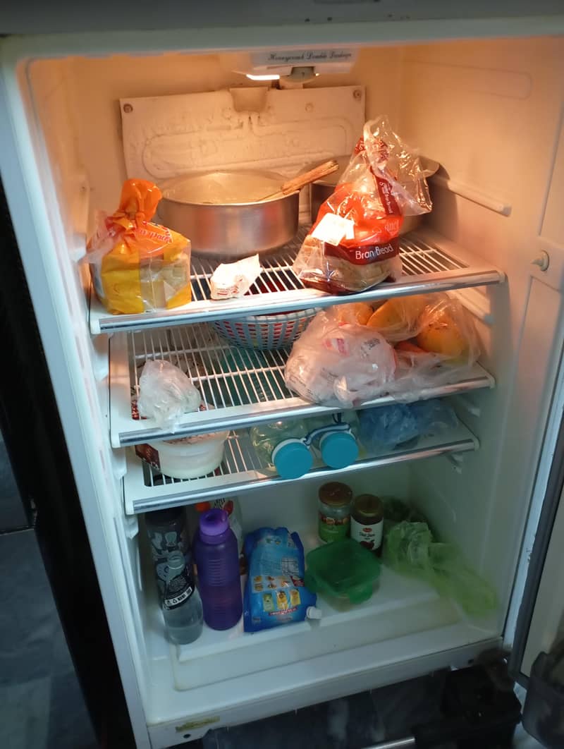 fridge 3