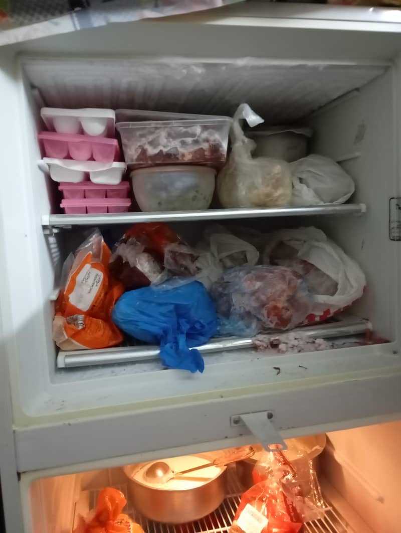 fridge 4