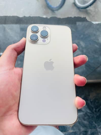Apple iPhone 13 Pro Max