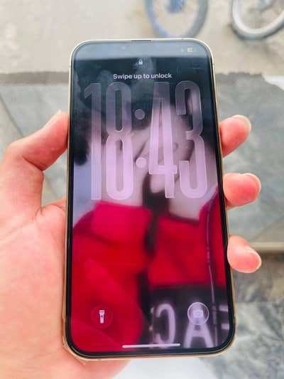 Apple iPhone 13 Pro Max