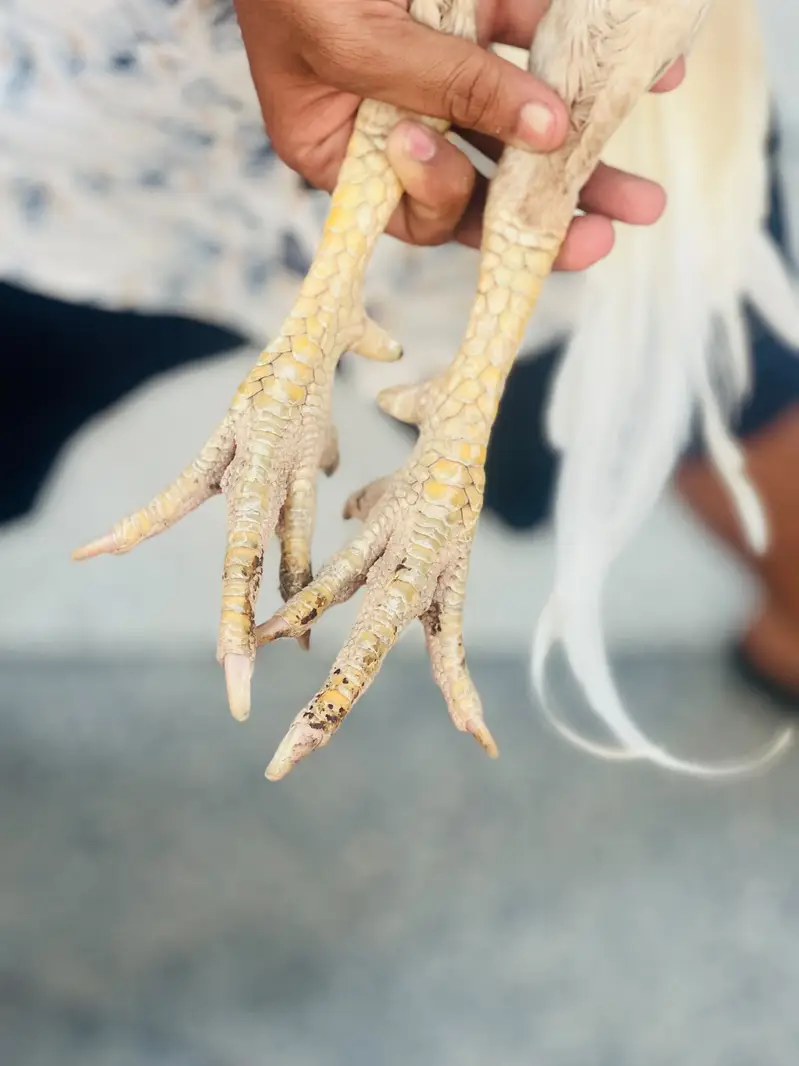 Heera — photo 9