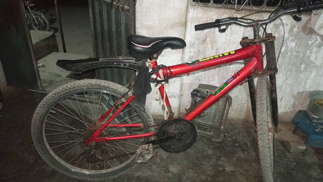 cycle size 24 1