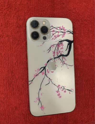 iPhone 12 Pro Max