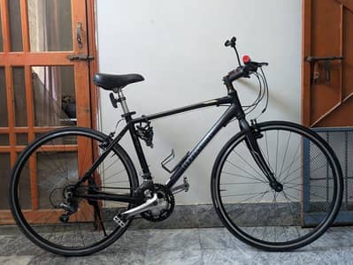 Brand Momentum cycle for sale