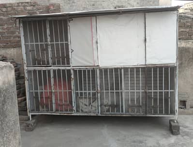 HEN BIRD IRON CAGE