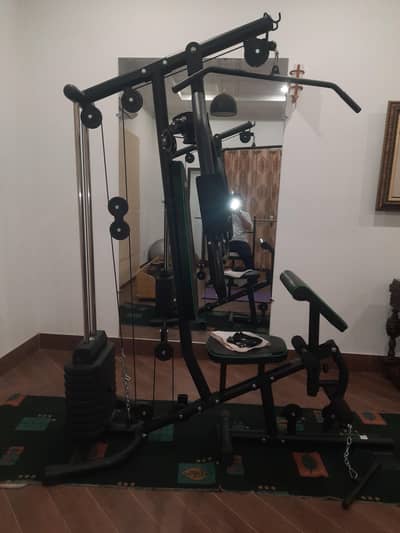 bicep triceps legs chest american home gym