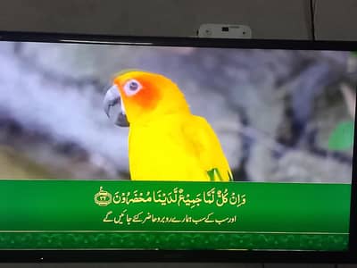 sony Bravia 46" LED TV for sale