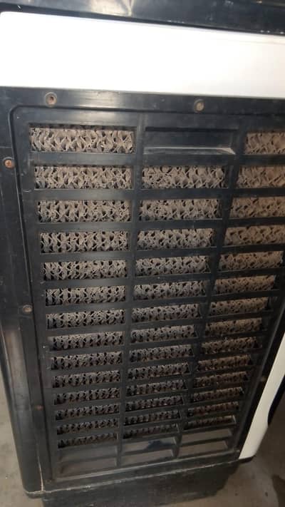 Air cooler